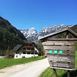 Govc-vrsnik *