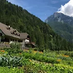 Govc-vrsnik Alloggio per agriturismo Solčava