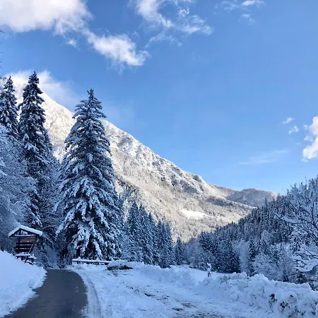 Govc-vrsnik * Solčava