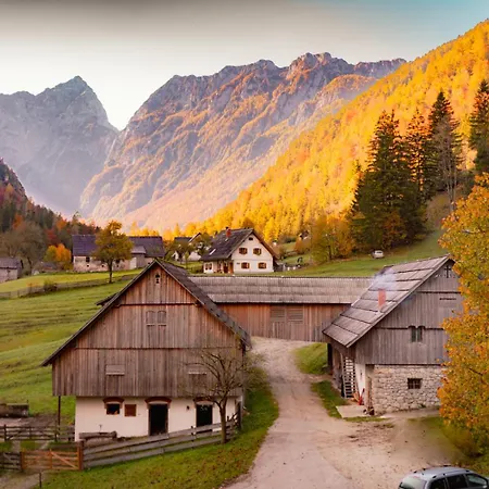 Farm stay Govc-vrsnik *