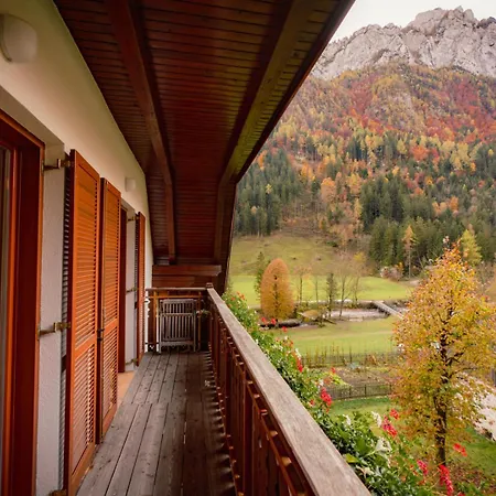 Govc-vrsnik Farm stay