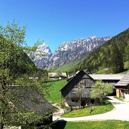 Tourist Farm Govc-vrsnik Solčava