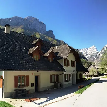 Farm stay Govc-vrsnik