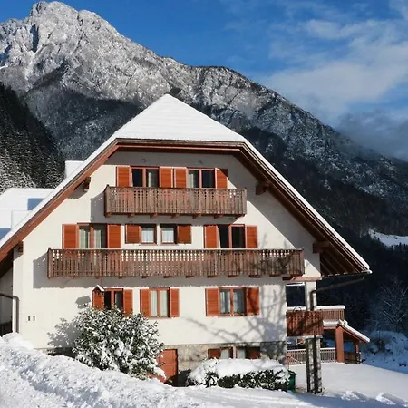 Govc-vrsnik Farm stay