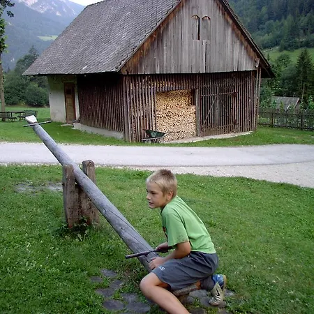 Farm stay Govc-vrsnik *