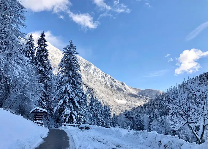 Govc-vrsnik * Solcava